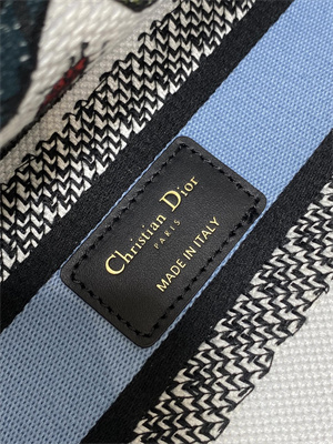 CD Medium Lady D-Lite Bag Embroidery White