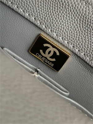 Cha.nel Large Coco Handle Bag Grained Calfskin Aged Gold Metal Grey A92991