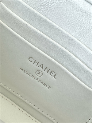 Ch*el vanity case grained calfskin& silver-tone metal white ap3940
