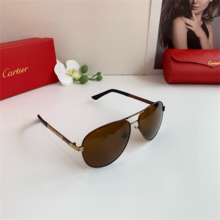 Ca*t*er sunglasses color options 38889