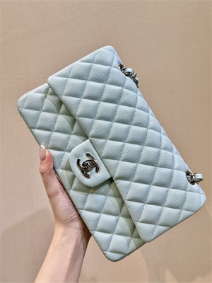 Ch*el medium classic flap bag grained calfskin silver tone metal mint 01112 top