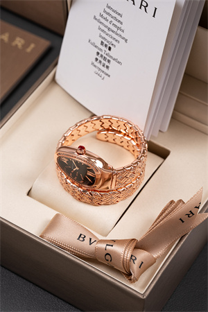 B*l*ai spiga lady watch 38918 color options