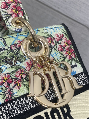 CD Medium Lady D-Lite Bag Embroidery Lt Green Multicolors