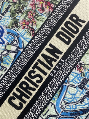 CD Medium Lady D-Lite Bag Embroidery Lt Green Multicolors