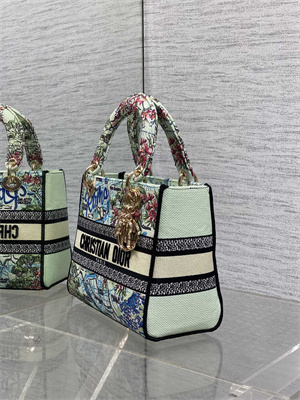 CD Medium Lady D-Lite Bag Embroidery Lt Green Multicolors