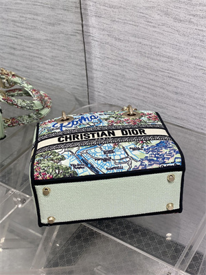 CD Medium Lady D-Lite Bag Embroidery Lt Green Multicolors