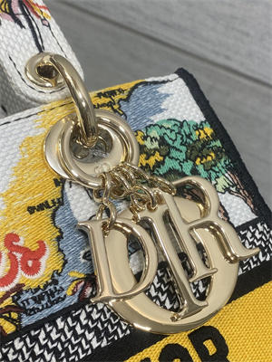 CD Medium Lady D-Lite Bag Embroidery White/Yellow Multicolors