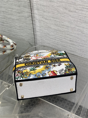 CD Medium Lady D-Lite Bag Embroidery White/Yellow Multicolors