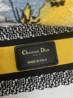 CD Medium Lady D-Lite Bag Embroidery White/Yellow Multicolors