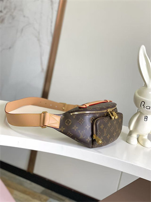 L.V Rush Bumbag Monogram Canvas M14019